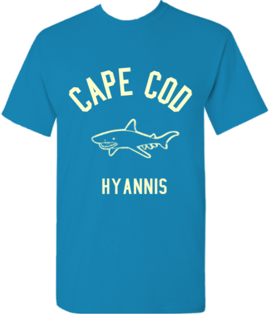 Cape Cod Hyannis