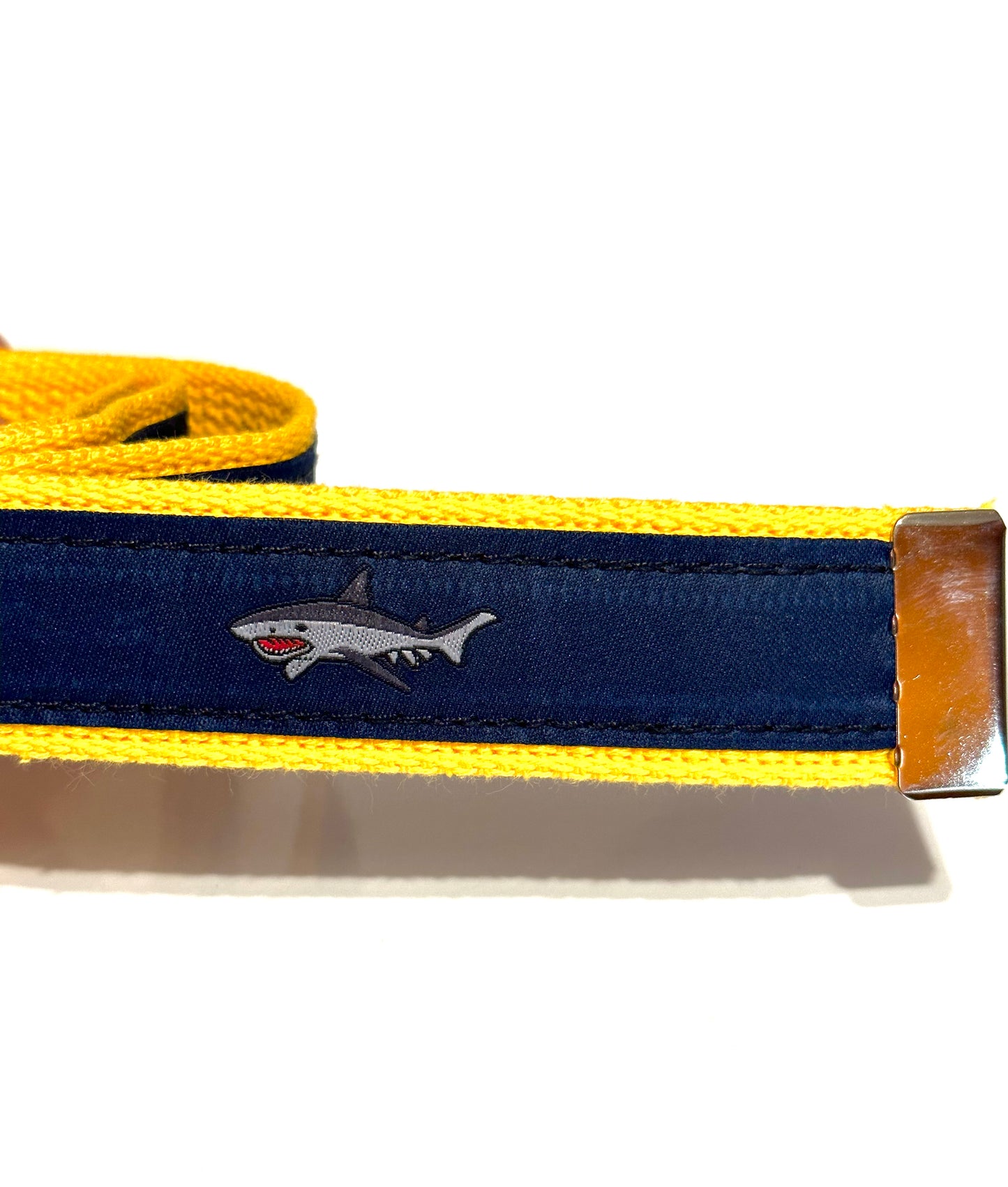Yellow Shark Belt